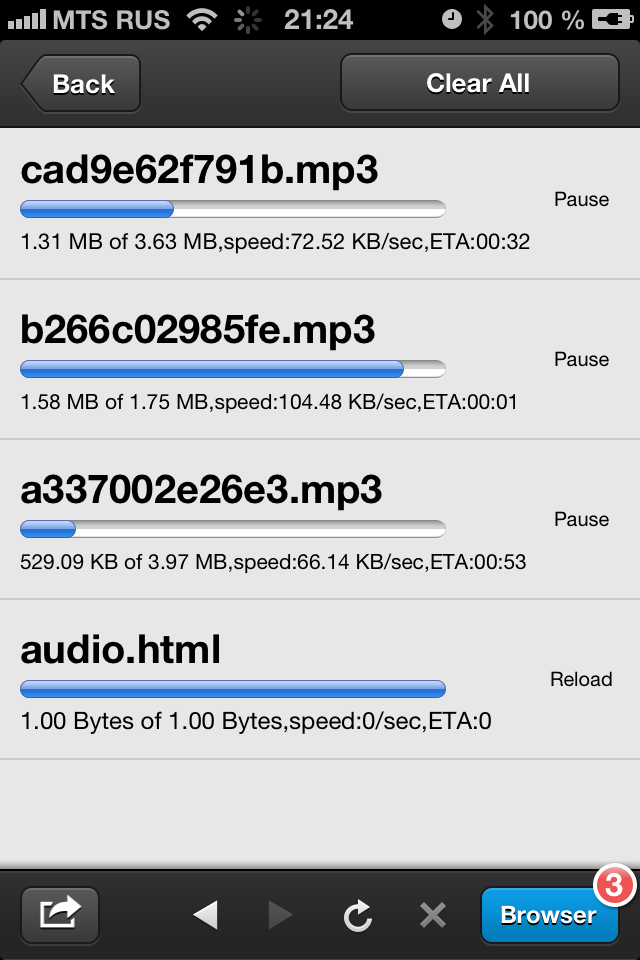iPhone Screenshot 1